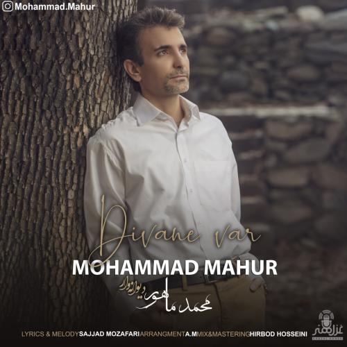 دانلود آهنگ دیوانه وار